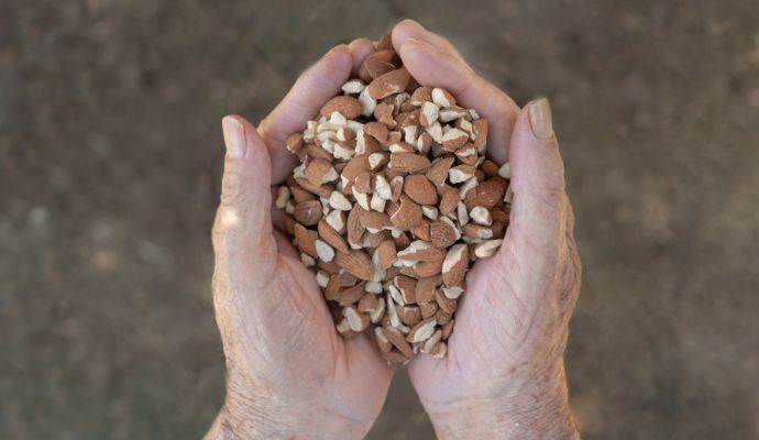 shelled almond pieces